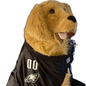 Big Dog Eagles Jersey